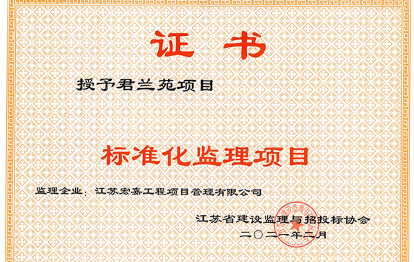 標(biāo)準(zhǔn)化監(jiān)理項(xiàng)目